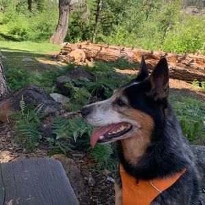 Meet your Posher, Melissa